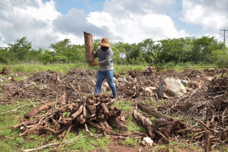De no contemplar a comunidades, Tren Maya sería un proyecto colonialista: académico